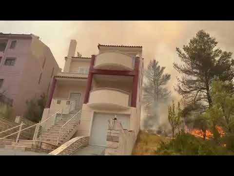Μια ανάσα από τα σπίτια η φλόγες στη Φυλή | CNN Greece