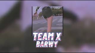 Team X - Barwy Slowedreverb