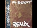 Thumbnail for Palm Skin Productions - The Beast (Autechre Mix) (vinyl)