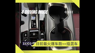 为什么插电混动车型成为 2025 最热销车型？
