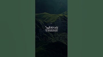 و ينصركم عليهم و يشف صدور قوم مؤمنين || سورة التوبة || القارئ: أبو بكر الشاطري