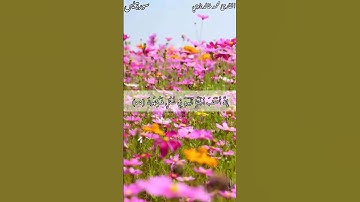 إِنَّ أَصۡحَـٰبَ ٱلۡجَنَّةِ ٱلۡيَوۡمَ فِي شُغُلٍ فَـٰكِهُونَ | القارئ محمد خالد نادي