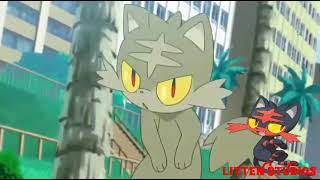 Pokemon Ash Steps Littens Tail