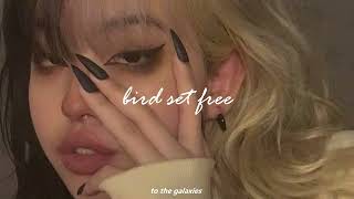 sia - bird set free (slowed + reverb)