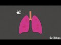 NIH SciBites From Home: Treating Lung Scarring With a Bacterial Weed Whacker