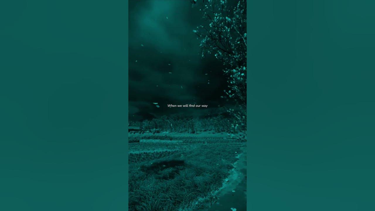 Tattoo - Loreen | lyrics  | lyrics | aesthetic | whatsapp Status | slowed | speed up | audio