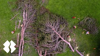 From Fallen Trees to Rising Spirits | Team Rubicon by Team Rubicon 433 views 9 months ago 1 minute, 11 seconds