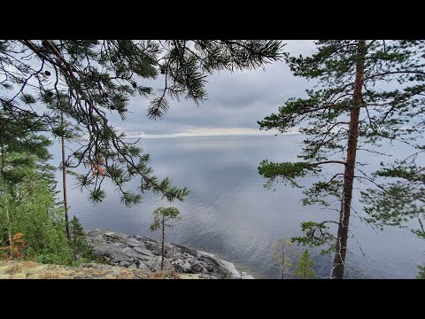 Wideo: Jezioro Segozero: położenie geograficzne, rekreacja i wędkarstwo. Jak dostać się nad jezioro?