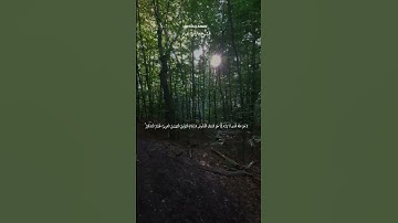 #malek_awad #راحة_نفسية #اكسبلور #تيك_توك #ارح_قلبك #لايك #الذكر_الحكيم #آيات #فارس_عباد #duet