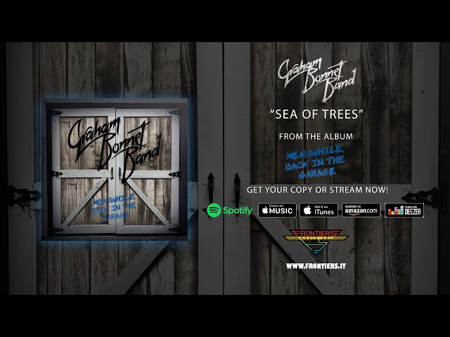 Graham Bonnet Band - Sea Of Trees