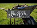 Cuál es el mejor ESTIÉRCOL para tu huerto?