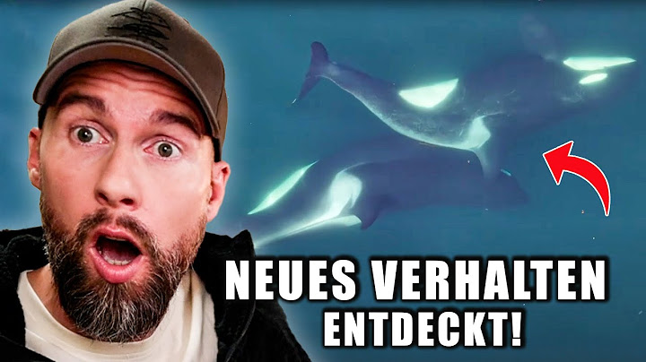 Neu entdeckt: Orcas putzen sich mit Werkzeugen & teilen Beute mit Menschen | Robert Marc Lehmann