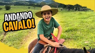 Dia Inteiro De Lida Na Roça Raíz