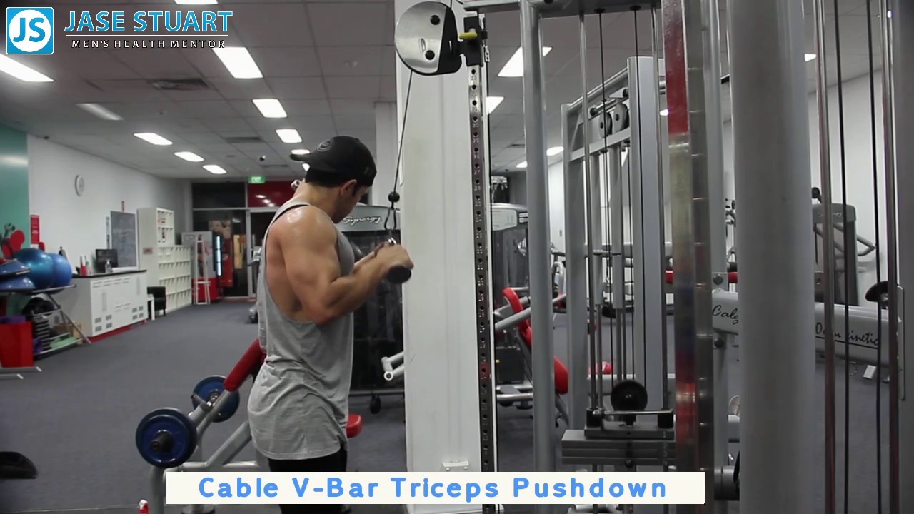 Cable V Bar Triceps Pushdown 