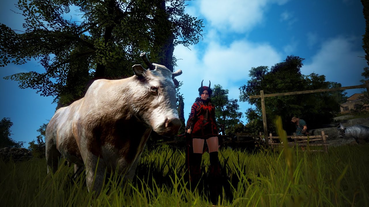 How to Empty Cows in Black Desert Online