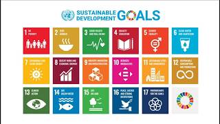 SDG 7: Driving Change with Affordable and Clean Energy Through EVs
