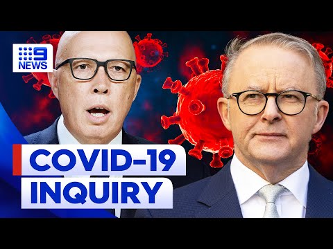 Government under fire for decisions from COVID-19 inquiry | 9 News Australia