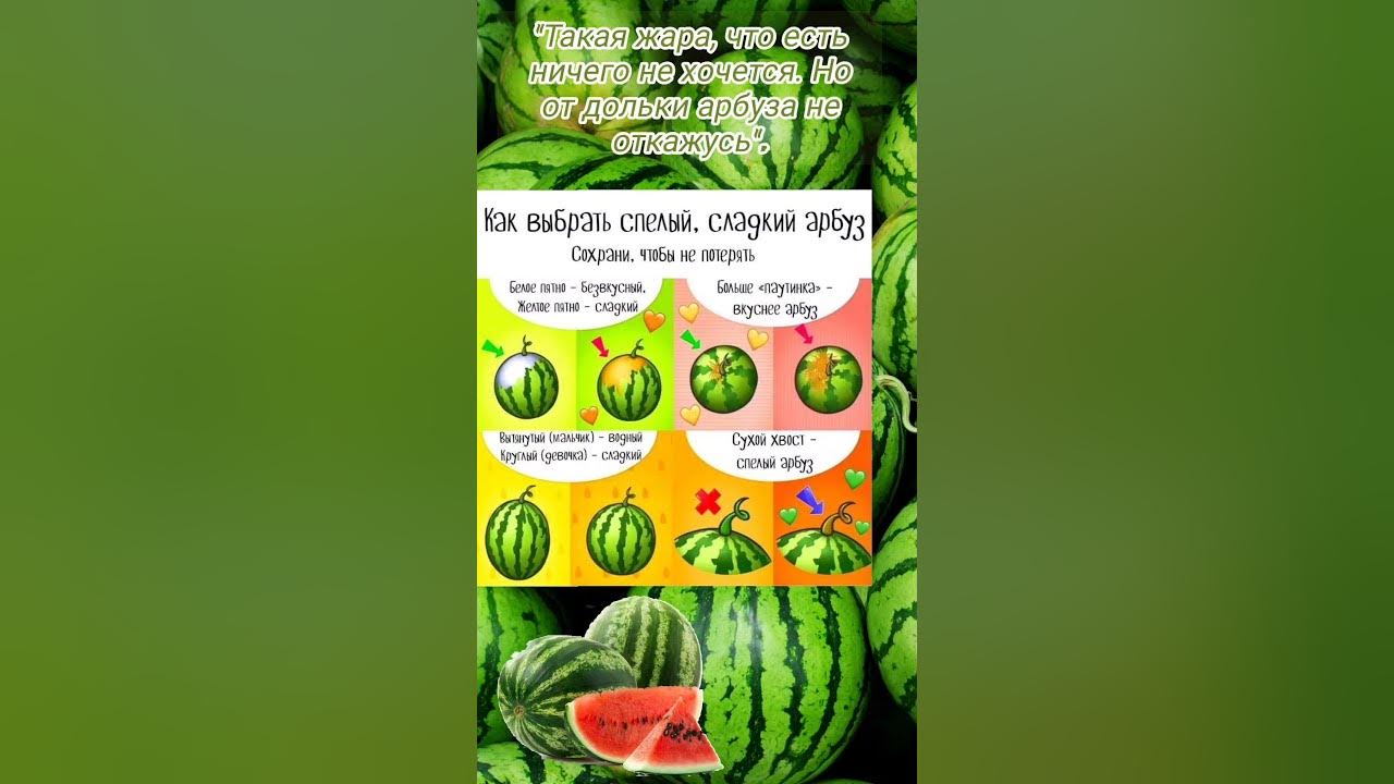 Как выбрать вкусный арбуз 🍉 - YouTube