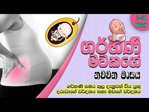 sri-lankan-moms-pregnancy-period-9-month-(33---36-week)-in-sinhala-|sri-lankan-moms-|sl-the-bro™🇱🇰