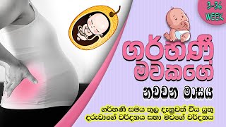 Sri Lankan Moms Pregnancy Period 9 month (33 - 36 week) in sinhala |Sri lankan moms |SL The Bro™🇱🇰