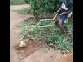 Bego Tractor keluaran terbaru 😅😂