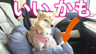 アマゾンで新しい犬用ドライブベッドを購入！結構いいかも♪