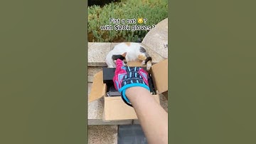 Cs2 Vice Skin Sport Gloves IRL #unboxingvideo  #cs2 #csgo #csgomoments #csgoclips