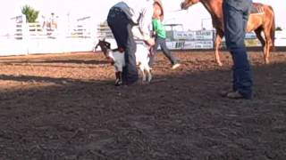 Nuckolls County Fair  2010 Rodeo