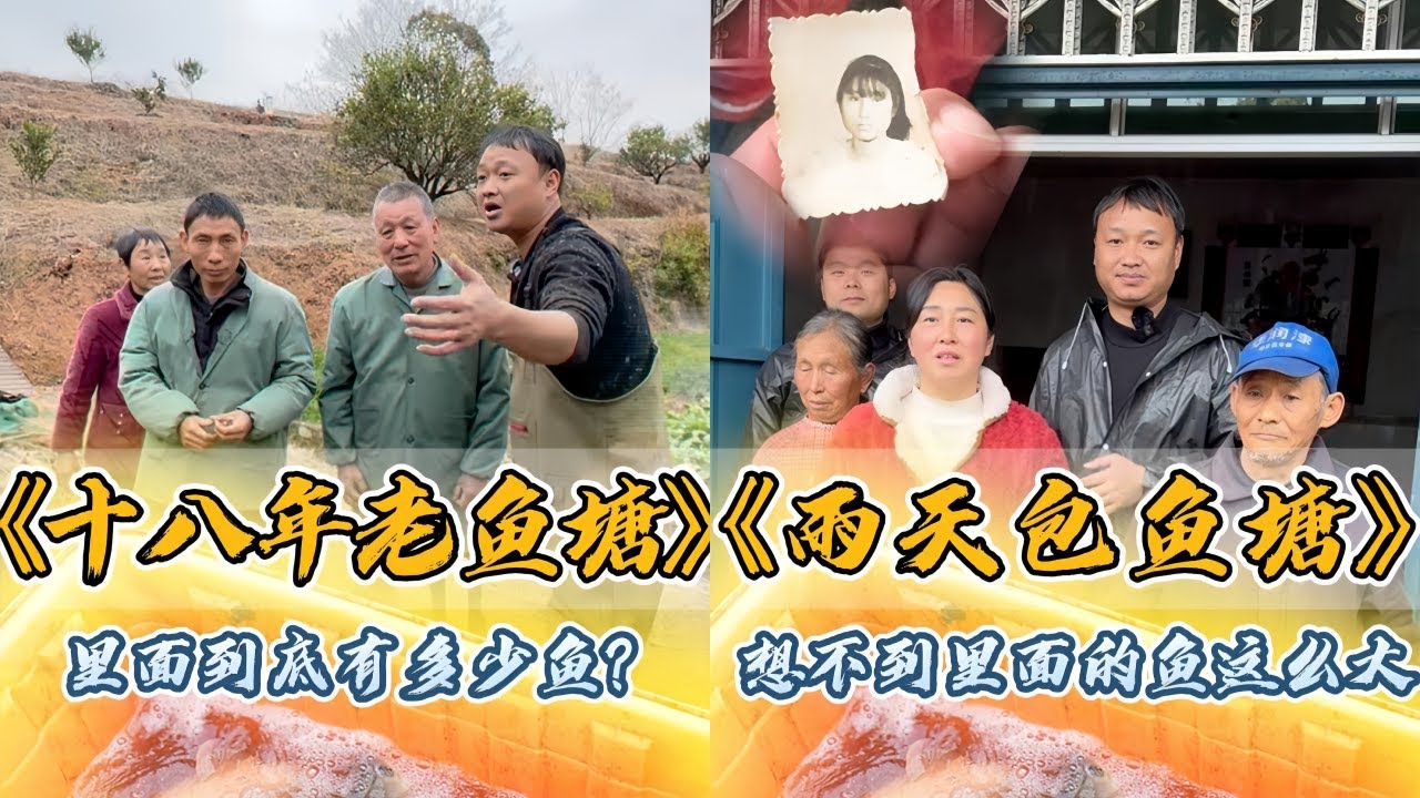 大表哥盘下爷爷18年没有干的老鱼塘，里面到底有多少鱼？｜盘下两个多年没干的小鱼塘，大叔为什么要急着卖？