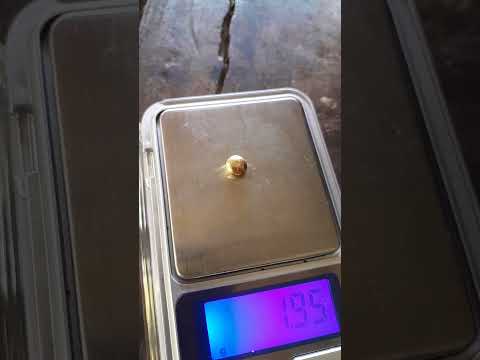 emas 24 karat sebesar 1,95 gram hasil tambang tradisional