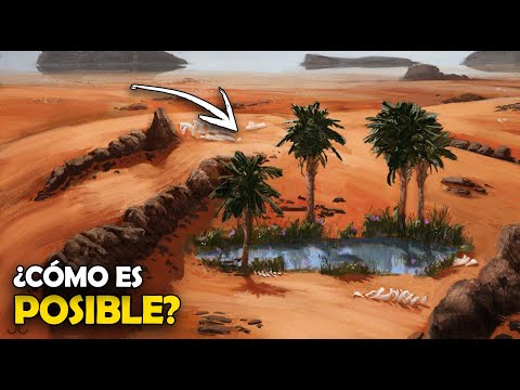 Video: ¿Cómo se forman los oasis?