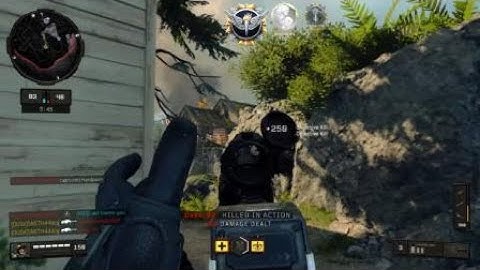 Paladin collateral pt1