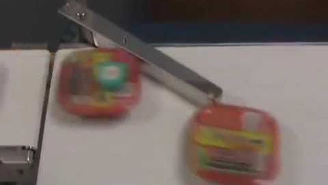 Máy kiểm tra trọng lượng và bộ phận loại tự động Checkweigher and Rejector