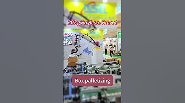 20kg Robot Palletizing in Action | High-Payload Cobot Automation #shorts