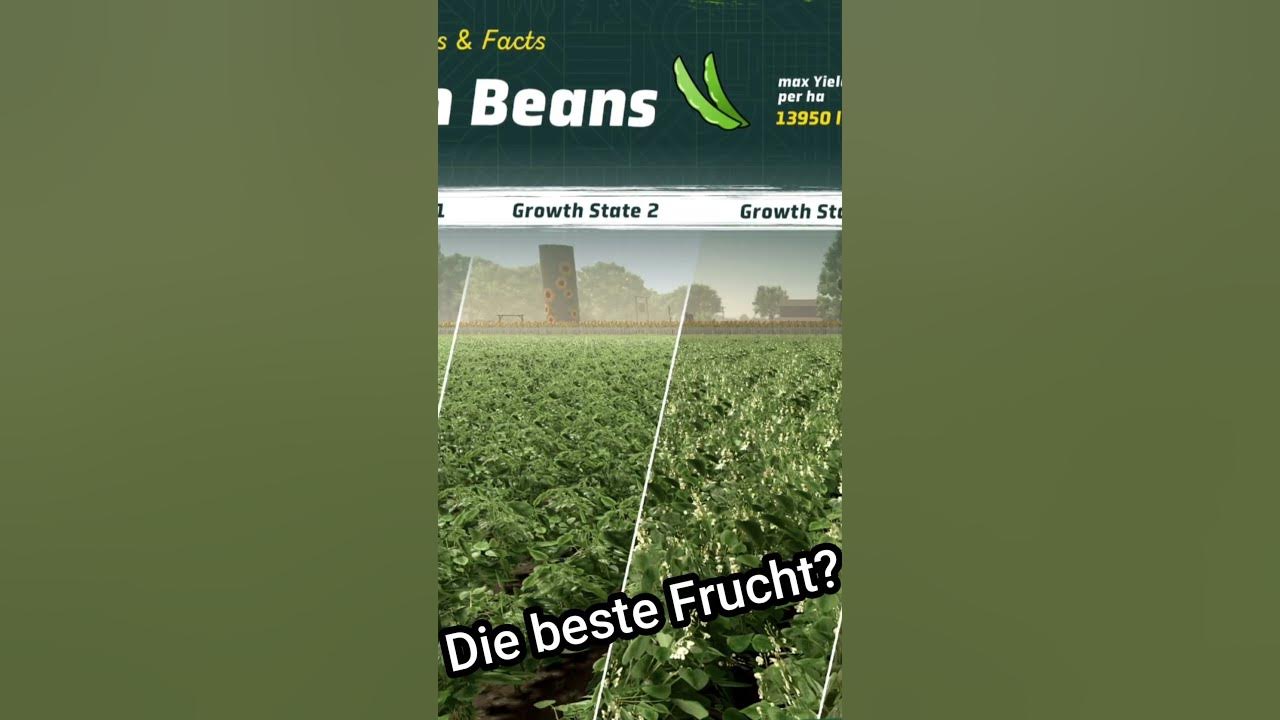 Das könnte die Lukrativste Frucht im LS25 werden YouTube