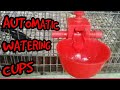 HOW TO INSTALL AUTOMATIC WATERING CUPS  - for Seramas, other Chickens, Quail, Pigeons,  Finches, Etc