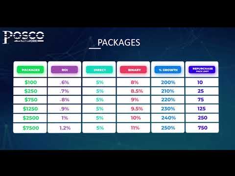 Posco Network Presentation | English