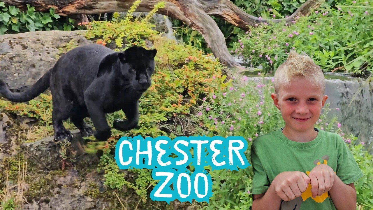 Chester Zoo | Which Animals Steal The Show?