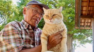 人と人、人と猫、人と自然。共に生きることとは？／『選挙』の想田和弘監督最新作『五香宮の猫』予告編