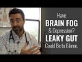 Brain Fog & Depression? Leaky Gut May Be The Cause