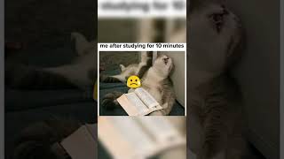 Funny memes 😂#Meme craze #Integer hub #shinchan_lover #funny #memes