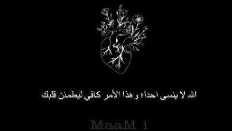 سورة الفاتحة | القارئ سالم الرويلي🌿💫