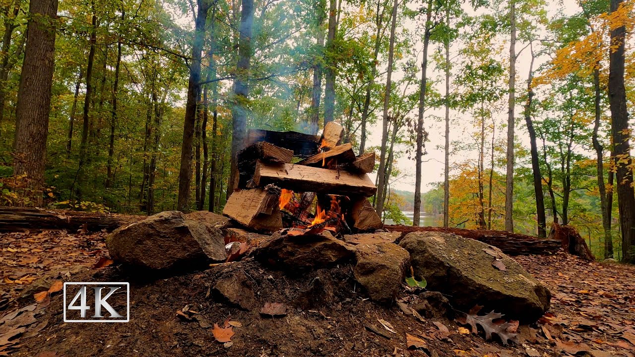 Evening Campfire in the Woods - 4K UHD - 3 Hours - Rest and Relaxation