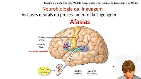 O que é uma equação matricial?