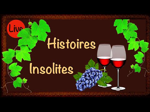 🔴 Histoire du vin et de la vigne