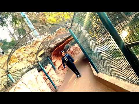 فيديو من حديقة الطيور اكادير