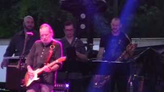 Gregg Allman - Love Like Kerosene (Wanee 2015) chords