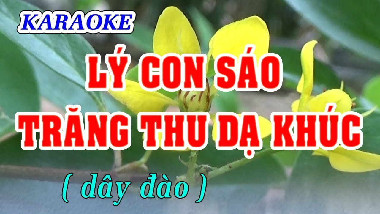 KARAOKE   LÝ CON SÁO _ TRĂNG THU DẠ KHÚC ( Dây đào )