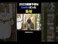 鳥谷敬は恩師の気を引きたい