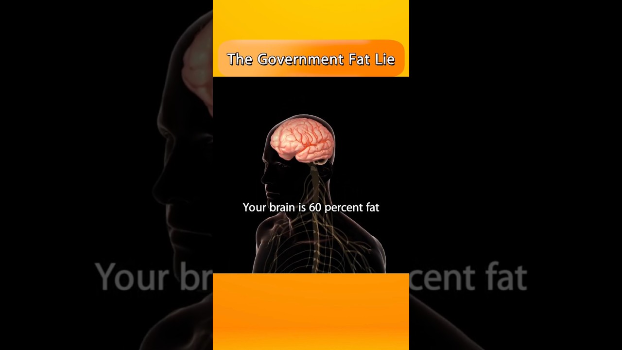 Have you been eating the wrong fats all along?